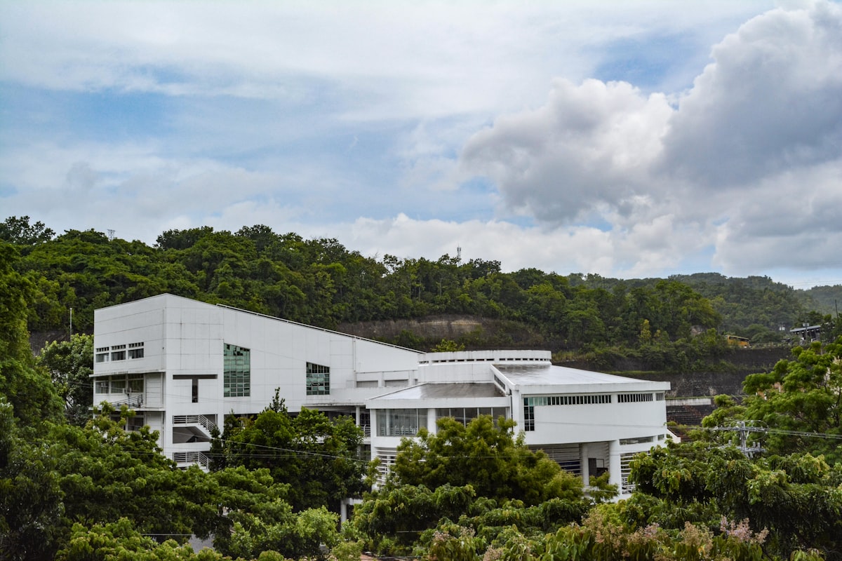 Is the US Real Estate Market Heading for a Correction? Insights from Housing Expert Melody Wright